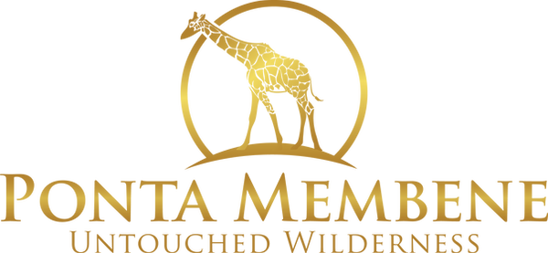 Ponta Membene Lodge