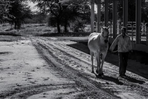 Sandune Game Lodge