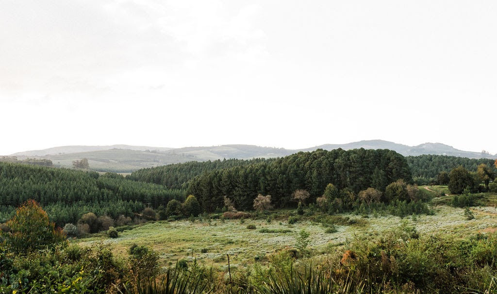 Zwakala River Retreat