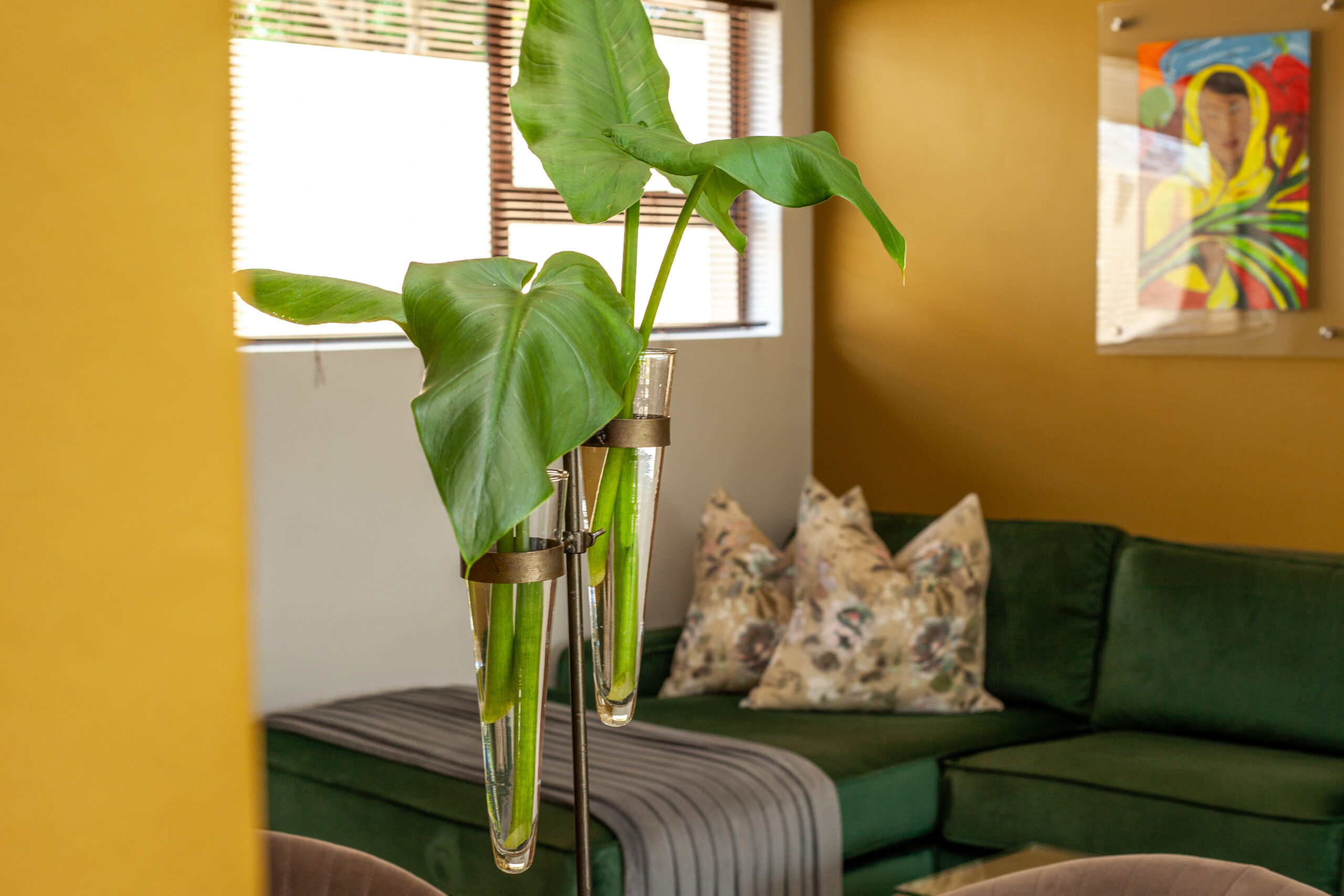 Fleur de Lis Boutique Accommodation