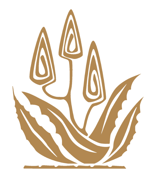 3 Aloes Guesthouse