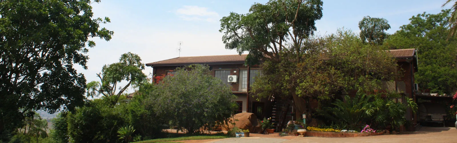 House surrounded by trees and greenery on a sunny day