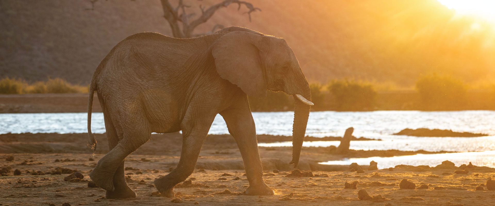 Impodimo Game Lodge